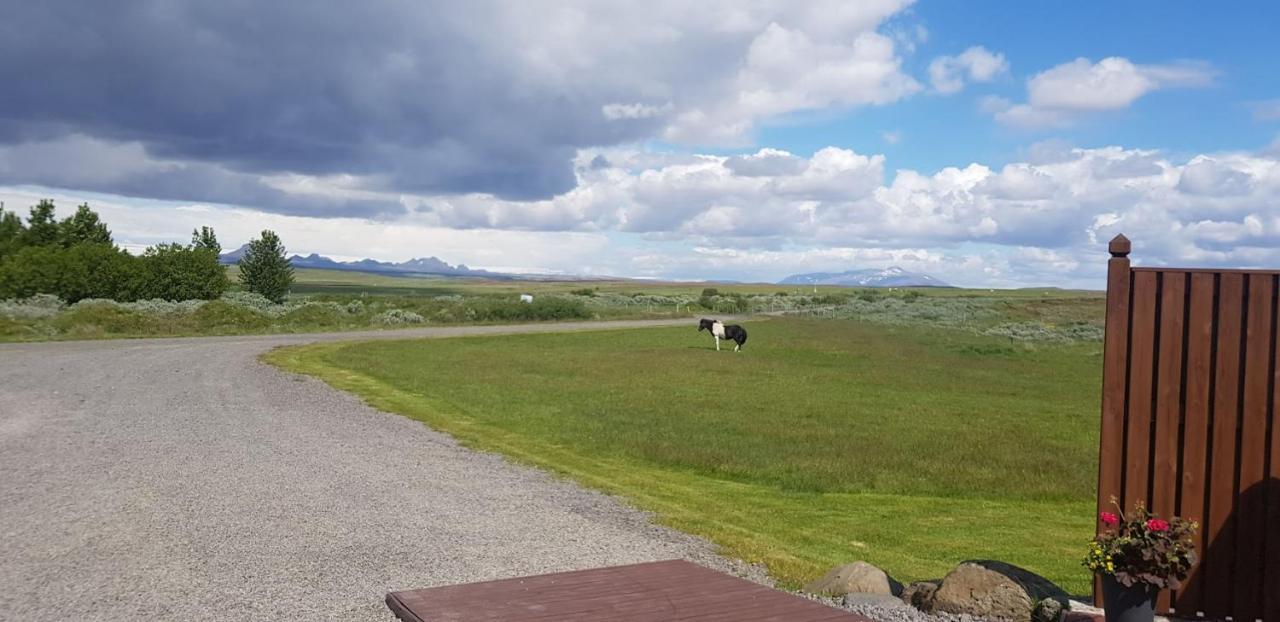 Skálinn between Gullfoss&Geysir - Myrkholt Farm Haukadalur Exteriör bild
