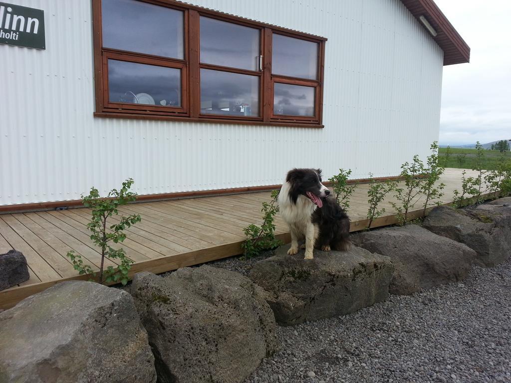 Skálinn between Gullfoss&Geysir - Myrkholt Farm Haukadalur Exteriör bild