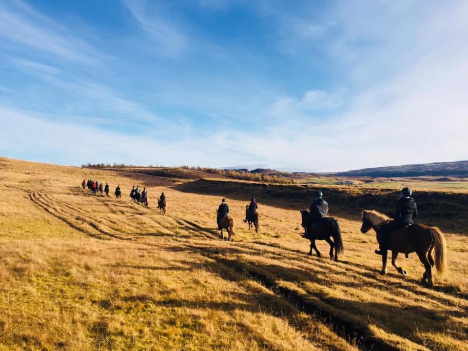 Skálinn between Gullfoss&Geysir - Myrkholt Farm Haukadalur Exteriör bild